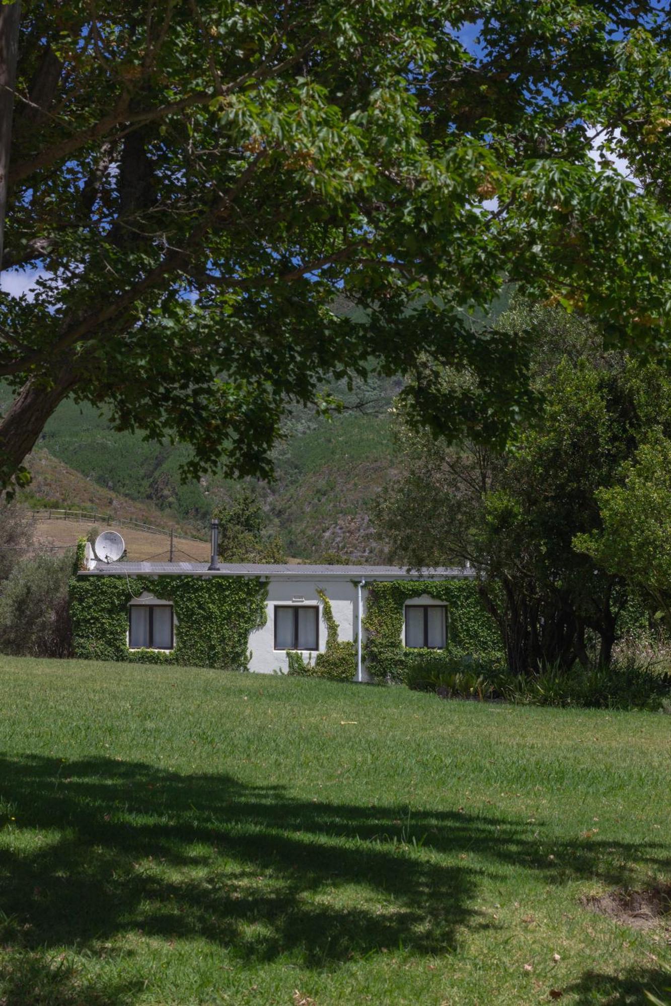 Three Streams Cottage Franschhoek Εξωτερικό φωτογραφία