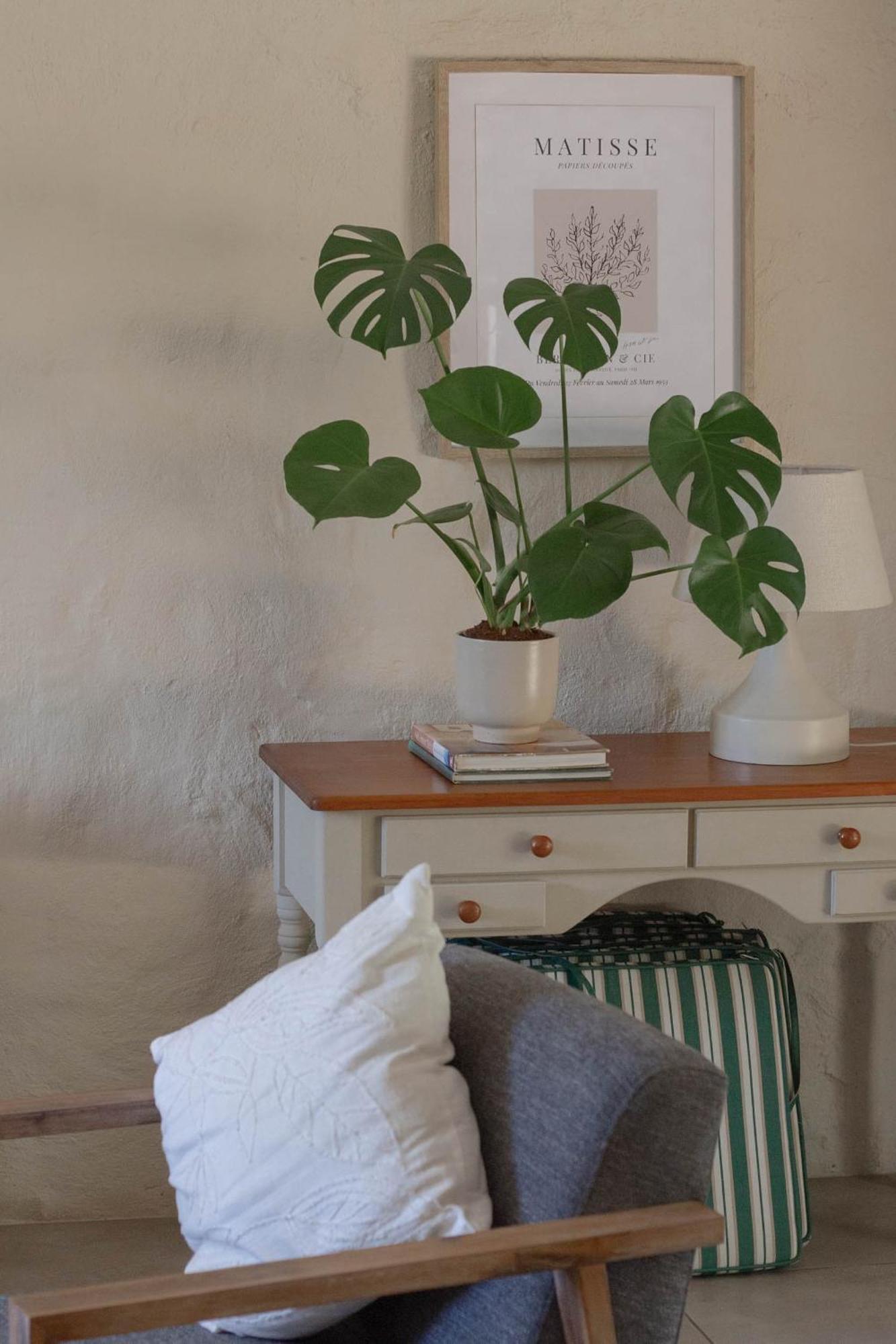 Three Streams Cottage Franschhoek Εξωτερικό φωτογραφία